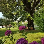 Solar Quinta De Sao Carlos Pensjonat Viseu