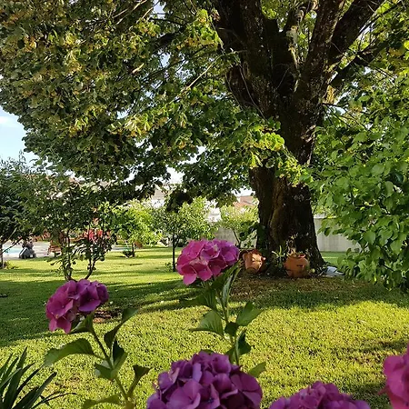 Solar Quinta De Sao Carlos Gæstehus Viseu