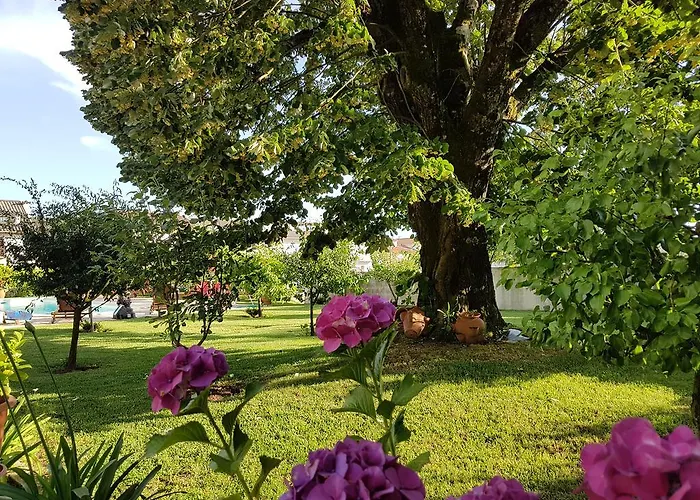 Solar Quinta De Sao Carlos Гостевой дом Визеу